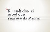 El madroño el arbol que representa Madrid