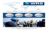 WRS Declaración de Capacidad