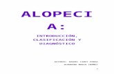 (2017 02-23)alopecia introducción, clasificación y diagnóstico(ppt)
