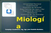 Generalidades de la Miología