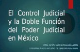 El Control Judicial y la Doble Función del PJF