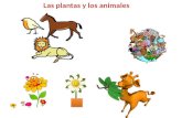 Las plantas y animales