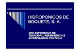 HIDROPONICOS DE BOQUETE, S. A. Una experiencia de ...