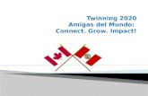 Presentacion twinning 2020