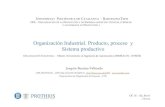 Organización Industrial. Producto, proceso y Sistema productivo