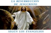 Resurreccion de jesucristo   testimonio de los evangelios