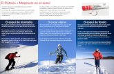 Infografía sobre el esquí