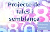 Projecte de Tales i semblança
