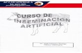Curso de Insiminacion Artificial Jersey Guatemala
