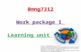Bmng7312 presentation  lu1 (1)