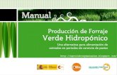 Manual producción de forraje verde hidropónico