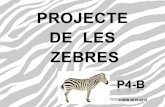 Projecte  zebres P4B