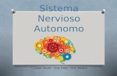 Sistema Nervioso Autónomo - Neuropsicologia