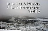 Nieve En Toro 2008