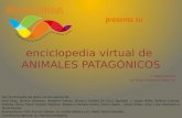 Enciclopedia virtual de animales patagónicos