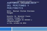 Anatomía y Fisiología del peritoneo y peritonitis