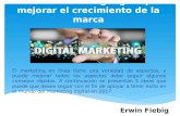 Erwin Fiebig | Ideas de marketing digital para mejorar el crecimiento de la marca en 2017