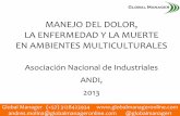 ANDI 2013 Taller Salud en ambientes multiculturales