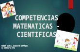 Competencias matemáticas - científicas
