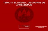Tema 18. El Modelo Grupos de Aprendizaje en la AFD