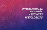 Introducción a la histología