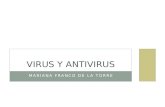 Virus y antivirus presentación