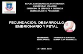 Maria Elva Ramirez Salcedo  Fecundacion y Desarrollo Fetal- Tarea 6