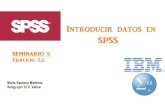 Cómo introducir datos en SPSS