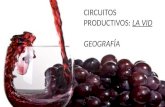 Circuito productivo de vinos en Argentina