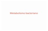 Metabolismo bacteriano.