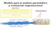 modelo para el análisis parametrico y evaluación organizacional