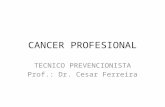 Cancer profesional