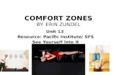 COMFORT ZONES- PP Presentation