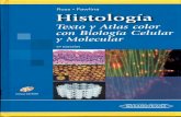 Histología Ross 5 ed