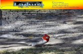 Laguna, revista urbana  - octubre 2015