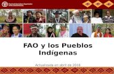 FAO y Pueblos Indígenas, 2016
