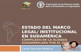 Estado del marco legal / Institucional en sudamerica compilado de la Alianza sudamericana por el suelo