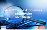 Mvp cluster   auditoria ambientes share point (1)