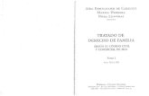 Tratado de Derecho de Familia   kemelmajer de Carlucci - Tomo i