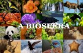 A biosfera