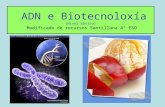 ADN e Biotecnoloxia