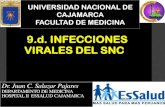 Infecciones del SNC virales
