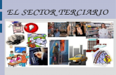 Tema 9- Sector Terciario