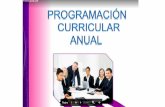 Programacion curricular anual 2017  modelo