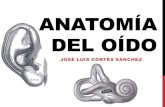 Anatomia oido, Clase de Otorrinolaringología