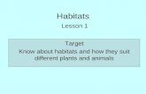 Lesson 1 habitats