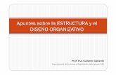Apuntes sobre estructura y diseño organizacional -  E Gallardo