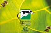 Caso ARA - Fundación Natura
