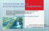 Aplicación de la biotecnologia ambiental trabajo individual claudia patricia urbano maury