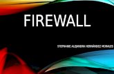 Firewall diapositivas